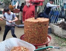 Fête de la pomme 2024-un très bon cru..